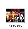 Hirsch TV small